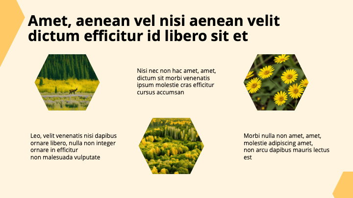 Hexaria Yellow Optimistic slide 6